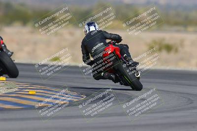 media/Dec-09-2023-SoCal Trackdays (Sat) [[76a8ac2686]]/Turn 14 Backside (1050am)/